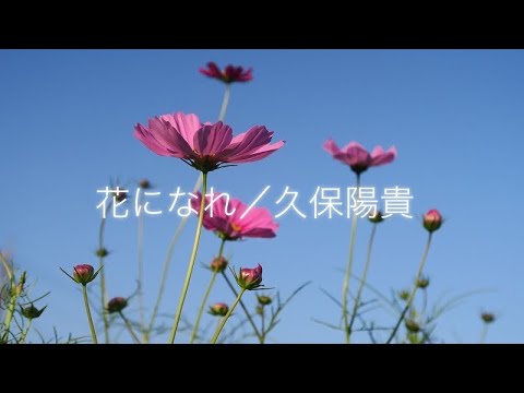 花になれ／久保陽貴