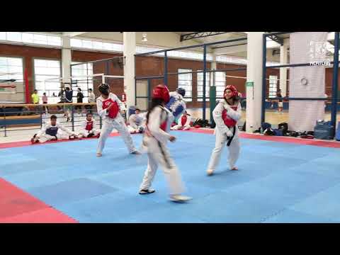 Video Tae Kwon Do en la FES Acatlán - youtube