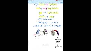 Cell Cycle Factors  #csirnet #biology #easylearning #science #gate #cellbiology #lifescience #icmr