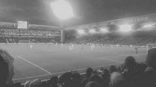 Palace 2 - 0 Cardiff Chamakh