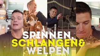 Spinnen, Schlangen & Welpen - Praktikum im Zoogeschäft | Ein Aaron für alle Fälle