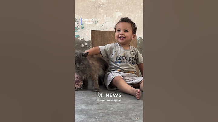 Child plays with his cat in Gaza