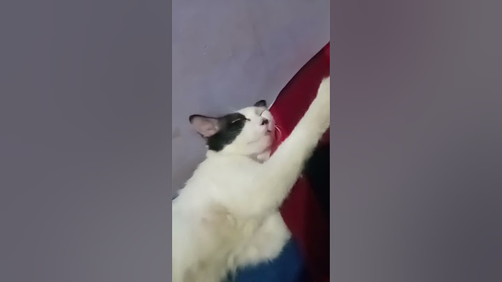 setelah 3 hari,akhirnya Alhamdulillah zhi kembali🫠💝