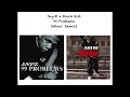 Jayz x black rob  99 problems whoa remixmashup