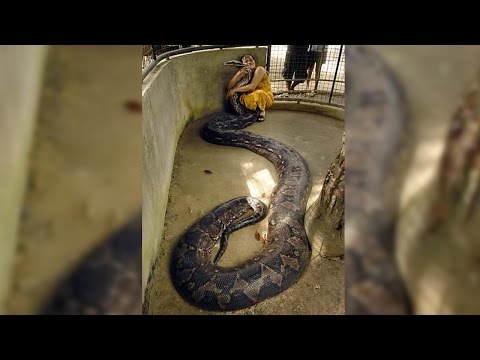 Woman Is Best Friends With Giant Snake