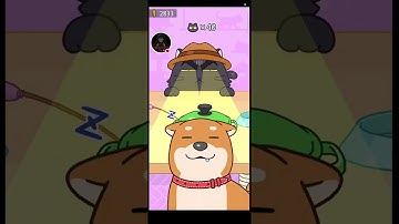 Hide and Seek: Cat Escape LIVE 😼😻 | Live stream 39 CreepyBoy UK 🇬🇧 is live!