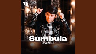 Sumbula - Umid.uZ