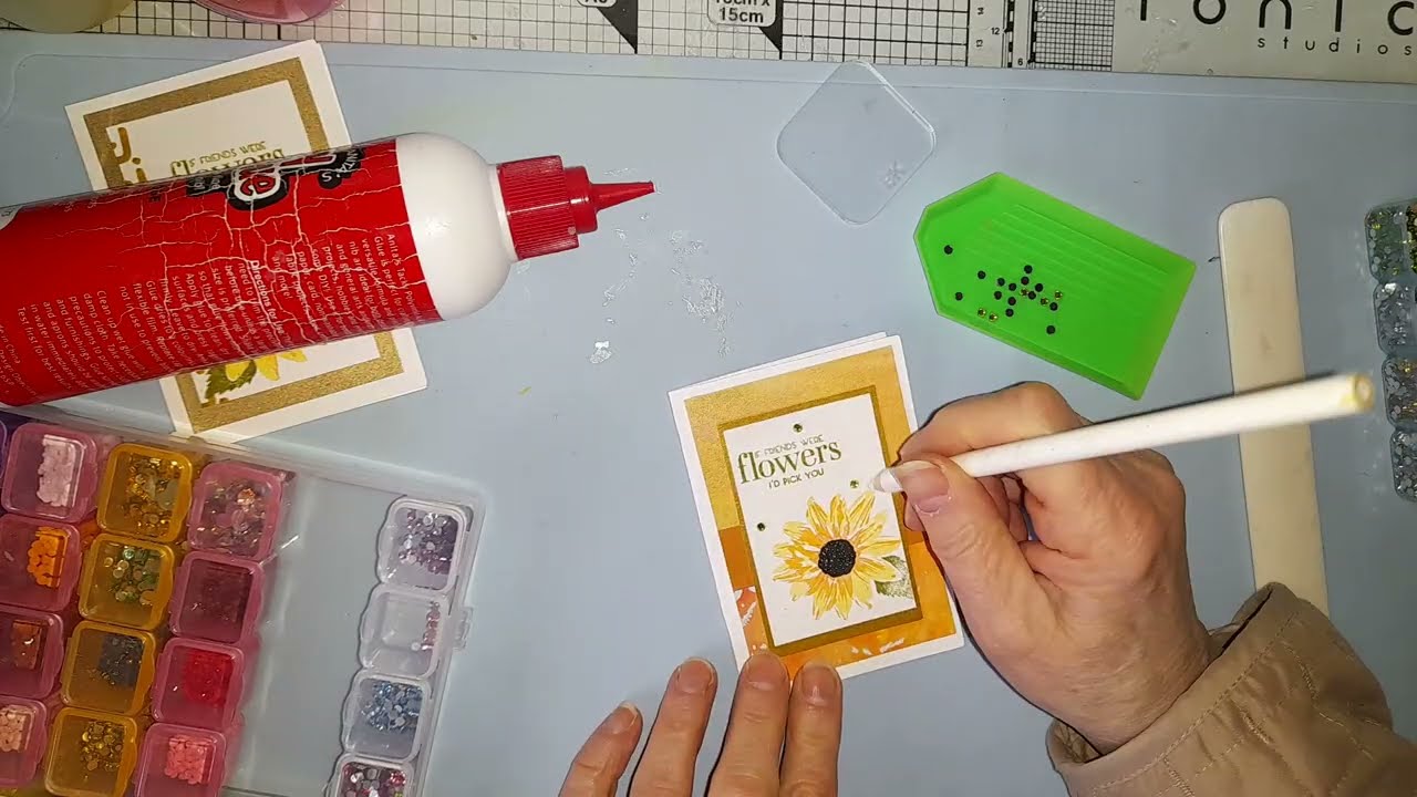 #savemefromthebin, организатор — Сабина из Cross Keys Crafts