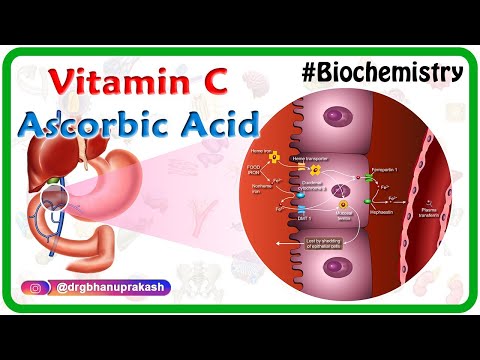 Vitamin C / Ascorbic acid Animation - Metabolism,Sources, Synthesis , functions,