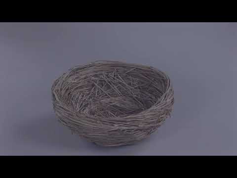 video-0