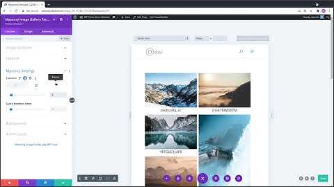 Masonry Image Gallery Divi Module