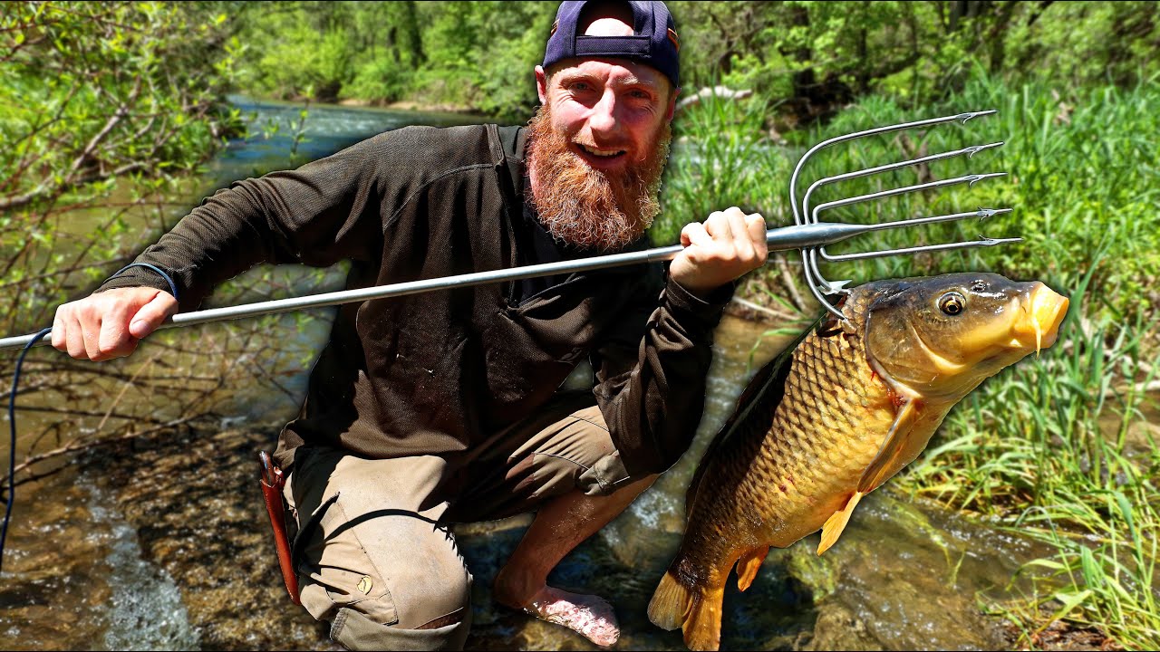 Spearfishing 30 lbs River Carp (using AMISH FISH SPEAR!)
