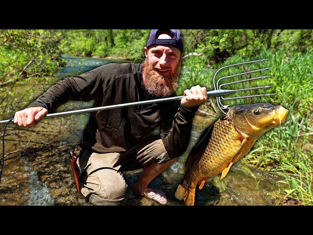 Spearfishing 30 lbs River Carp (using AMISH FISH SPEAR!)