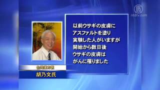 河北省 肺がん死亡率４０年で３倍上昇 20160121