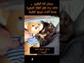 ما هي أمنيتك للسنه الجديدة 2026