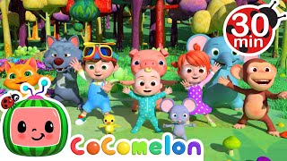 Animal Dance Song and More! | CoComelon Animals | Animals for Kids