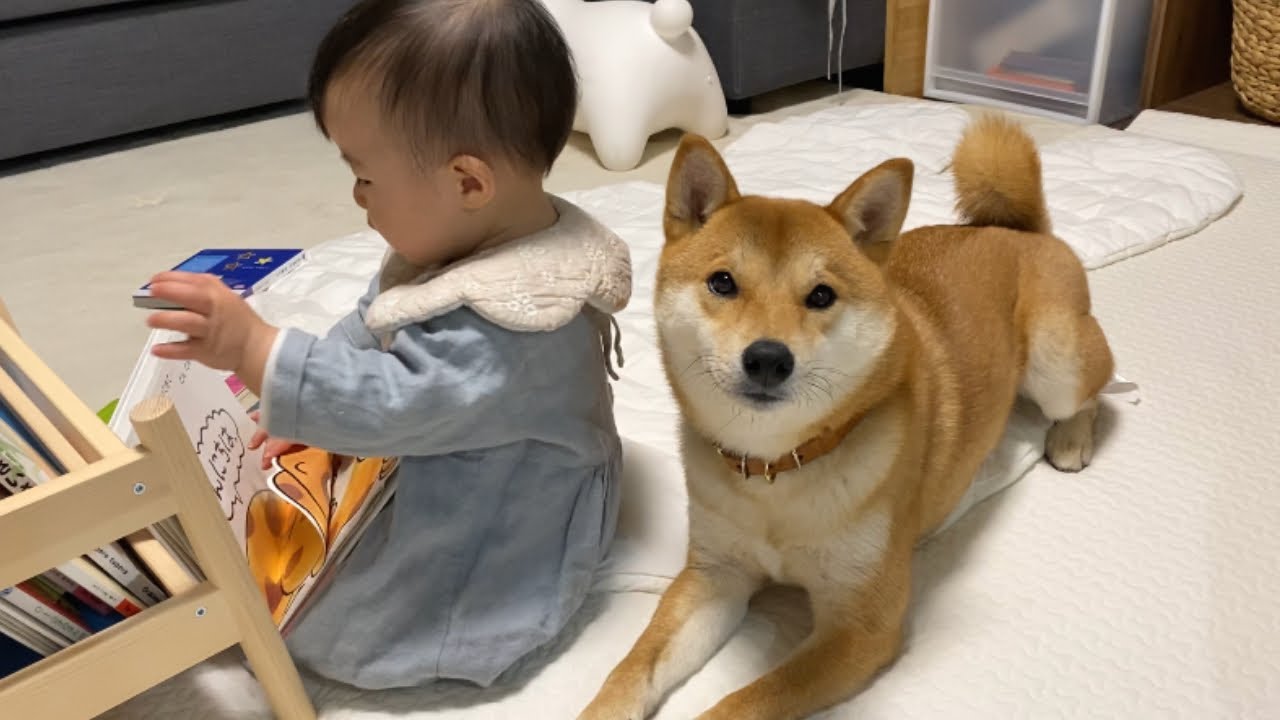 Youtuberのなり方は 子供と一緒にユーチューブデビュー 日本観光パスポート