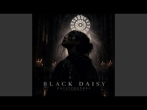 Black Daisy