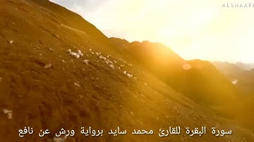 محمد سايد - سورة البقرة |002| MOHAMED SAYED - SURAT ALBAQARA