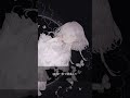 命にふさわしい - amazarashi / haju:harmonics #shorts #歌ってみた #cover #haju #amazarashi #命にふさわしい #NieR #fyp