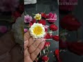 Hello Resin Artists #resinart #resinartist #flowerpreservation #handmadewithlove #thecutetreasure