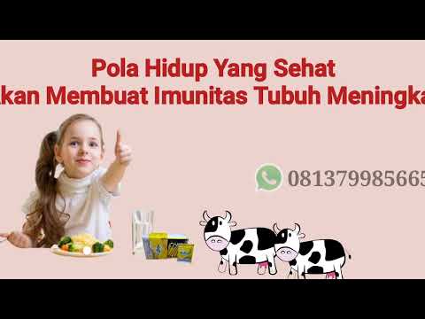 Susu kalsium untuk orang tua 081379985665, susu kalsium tinggi untuk remaja