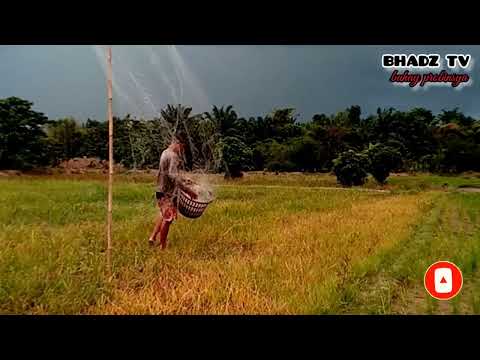 Video: Ano ang lambat para sa paghuli ng mga hayop at ibon