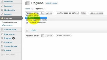 Eliminar Contenido por Defecto - Crear Blog Profesional