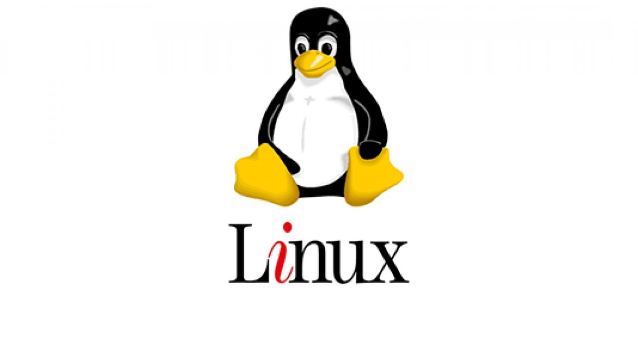 Linux cho người mới bắt đầu: Giới thiệu lập trình Shell Script