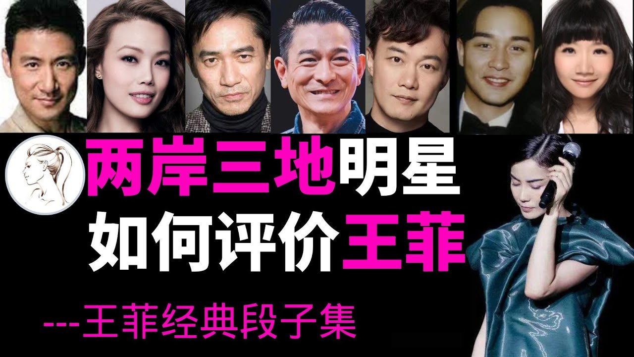王菲高冷？听听张学友  陈奕迅  梁朝伟  容祖儿如何评论她！【王菲经典段子集】