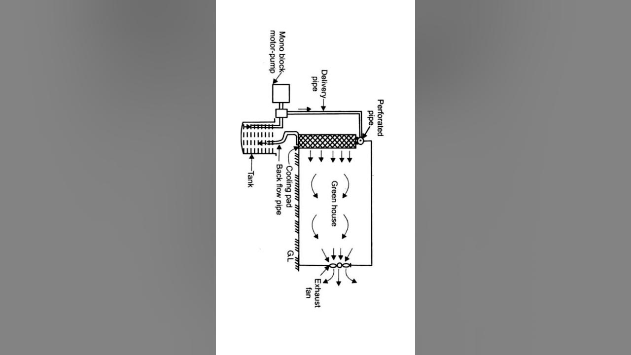 Cooling System in Hydroponic youtubeshorts shorts hydroponics 