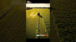 "🌾🚜 Wild FarmFlow: Epic Grass Cutting Giant Snake 🐍#grasscutting #epicfarming #tractor