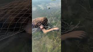 Mermaid Caught in a Net Drying Out on the Beach #realmermaid