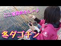 夏に釣れた場所で冬に団子投げてみた。(Vol.114)