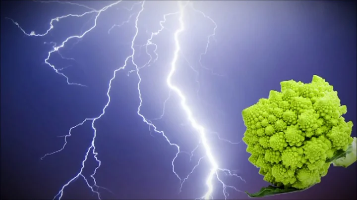 Evolution and Mathematics