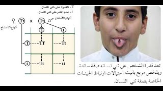 الوراثة المندلية الجزء الثاني