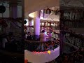 Beatles Tribute Violin Piano Cruise #cruisevlog #retirement #cruise #beatles #johnlennon #livemusic
