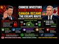 Chinese Investors Were Ordered Out — Canada Became The Escape Route