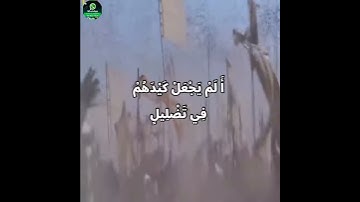 💟  #حالة واتس أب #سورة الفيل #الشيخ ياسر الدوسري  💟