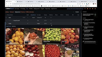 Computer Vision with DataRobot | Multiple Visual Use Cases Explored