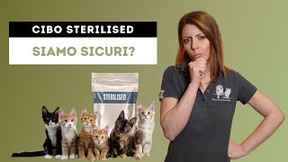Cibo per gatti sterilizzati: sei sicuro che faccia bene al tuo gatto?