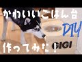 【DIY】犬用のフードボウルスタンドを作ってしてみた！【予算1000円】