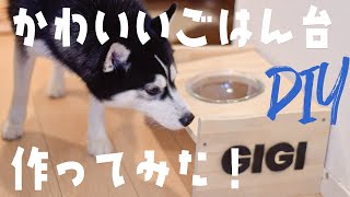 【DIY】犬用のフードボウルスタンドを作ってしてみた！【予算1000円】