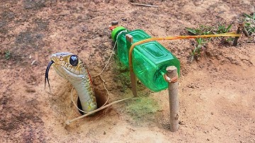 EASY SNAKE TRAP_ Installing Unique Quick Snake Trapping Using Water bottle Work 100%