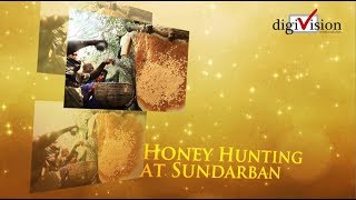 Sundarban honey collection
