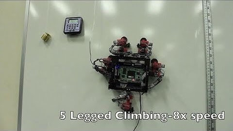 Gecko-inspired wall-crawling robot steps towards cosmos