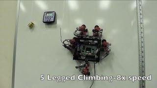 Gecko-inspired wall-crawling robot steps towards cosmos