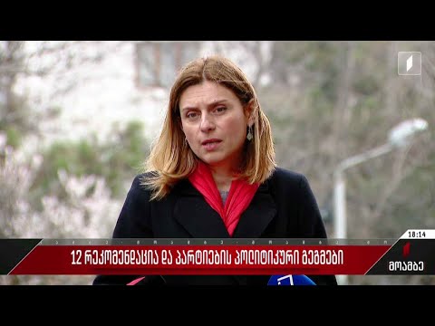 12 რეკომენდაცია და პარტიების პოლიტიკური გეგმები