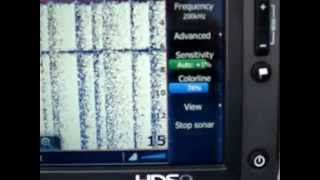 Lowrance HDS Touch Sonar Settings