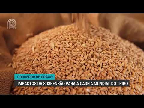 Corredor de Grãos: Impactos da suspensão para a cadeia mundial do trigo | Canal Rural